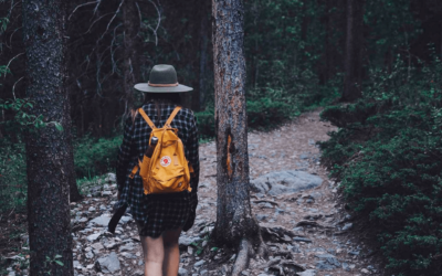 Los árboles más antiguos de la Tierra y las historias que cuentan