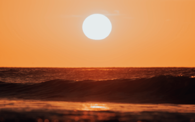 ¿Tal vez todo el mundo debería mudarse al Oeste?